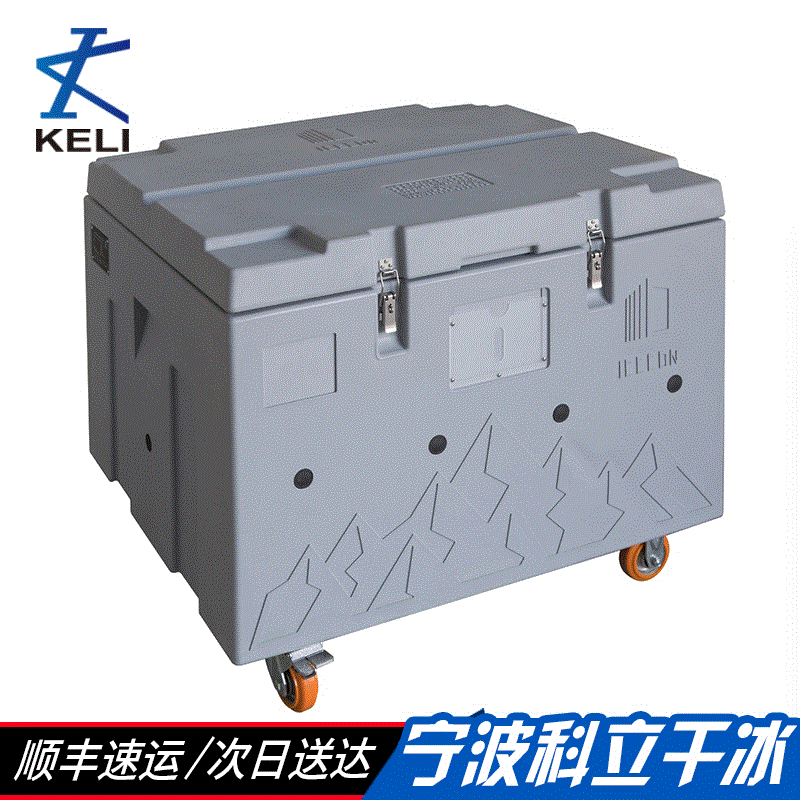 专业生产干冰专用储存箱  结实耐用pe大号带提手便携干冰保温箱