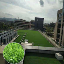 SҶpp+peƺ keƤ̨Gbƺ