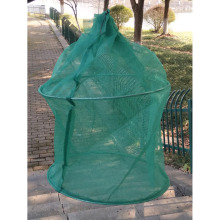 �з�B�\ ���r�B�\ �ۯB�Ӻ�W �A���ۯB �߽g�B�~���\ 75