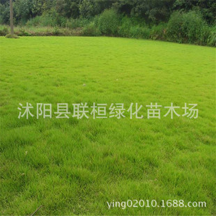 ���l�����伾�Ͳ���Ҫ�޼���ƺ�N�� ������Ľ�� ���ѲݷN�����l