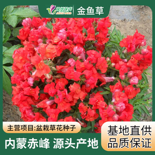 �s�����~�ݷN�� ���Խ��~��  �ݻ����ܷNֲ���g  ���N ���^��