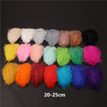 �F؛20-25cm�r�BëӲ�U��ɫ���|�r�B��ë�����b�̨��픟��b�
