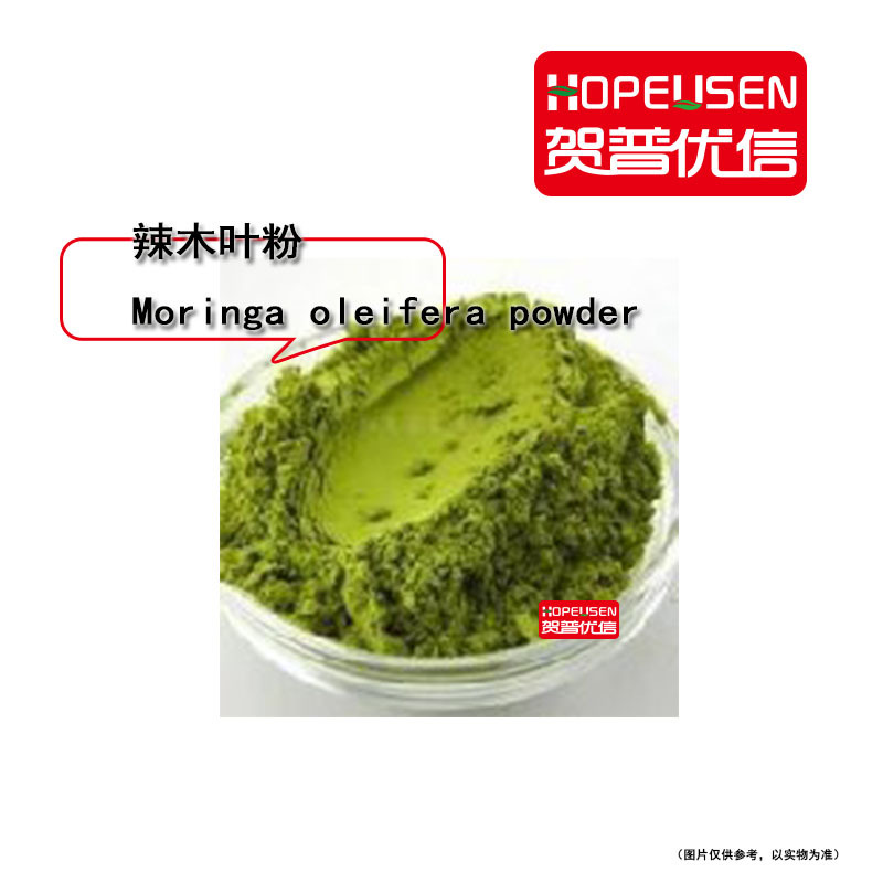 辣木叶提取物 辣木叶粉 辣木提取物 辣木粉 印度品质