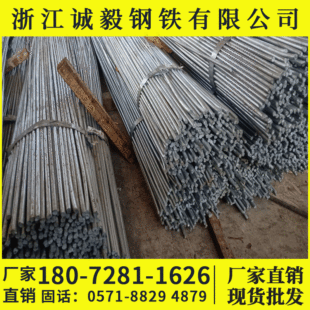 �㽭 ���� ��\�A� �����A�   ����  �߾� �S���N��