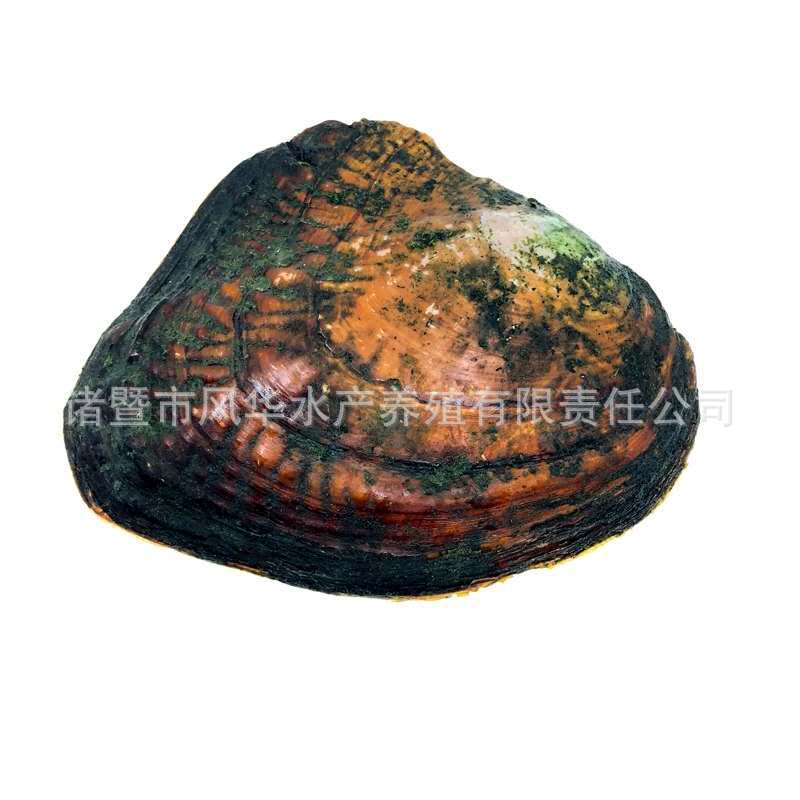 商品图