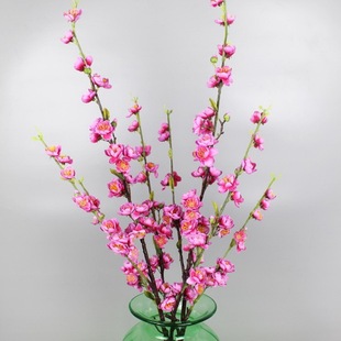 �߷����һ� �һ�֦����÷��֦ �٘�֦�ٻ���c�bٻ����ϻ����l