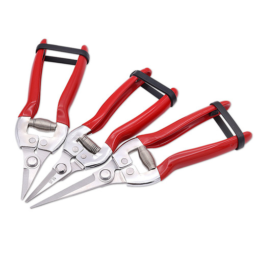 Yangjiang Wholesale Red Thick Branch Pruners Manual Fruit Tree Pruners Stainless Steel Garden Scissors