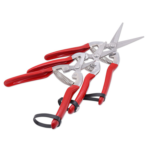 Yangjiang Wholesale Red Thick Branch Pruners Manual Fruit Tree Pruners Stainless Steel Garden Scissors