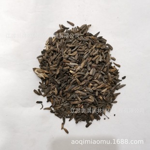 �ľ��N�ӏVľ��ľ��N���ļ����N���󃞻ݸ߳�ѿ��