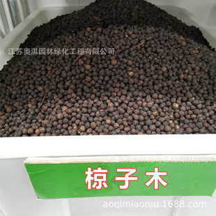 ɢ�b��ľ�N�� ���ľ�N�� ��ľ�� �G���е���ľ��ľֲ��N