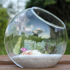 斜口玻璃花瓶 微景观花瓶 多肉植物花瓶 水培花器 婚庆用品