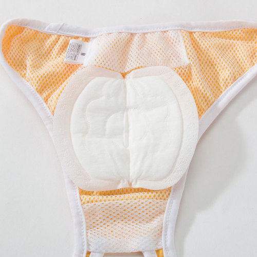 Pet pads, dog menstrual pants, menstrual pants, cat menstrual care pads, diapers, sanitary napkins