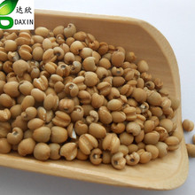 ��ș�����l ޲���� ޲�� ޲��������ă�