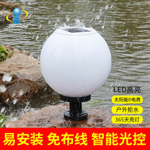 ̫������^�� ����̫��܈A������ ͥԺ�T����A���P����^��