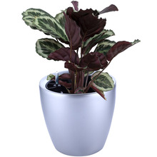 �Ƶ�����Ԅӹ�����z����M�ϻ����ͥ�@ˇ������մ�������[��