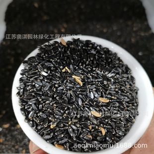 ���l�����S��N��С�~�S����S���S���N�����󃞻ݸ߳�ѿ��