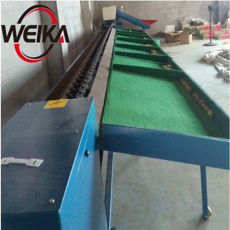 How Much Money Digital Fruit Selection Machine, Kiwi and Apple Online Dynamic Weighing and Sorting Equipment, Fruit Selection Machine