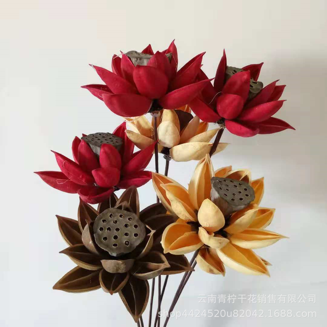 木莲花 干莲蓬干花云南厂家紫荆莲蓬组合干花批发软装材料