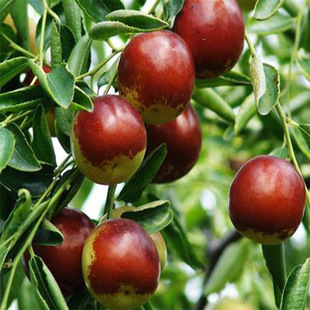 ���������l�޽Ӵ����������җ�����1-3���֗����zС��������