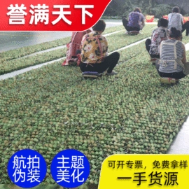 伪装网;安全带;遮阳网