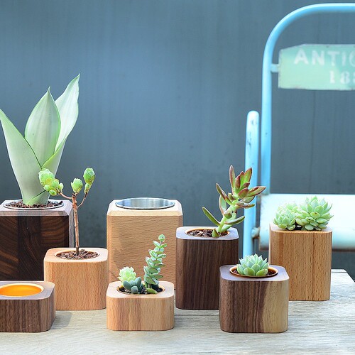 Nordic style home decoration succulent flower pot black walnut solid wood flower pot ins mini table decoration pen holder candle holder