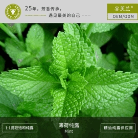 身体护理加工;化妆水爽肤水;单方精油