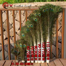 �F؛����25-130cm��Ȼ��ȸë��β ��ɫ��ȸ��ë ��cDIY��ë���l