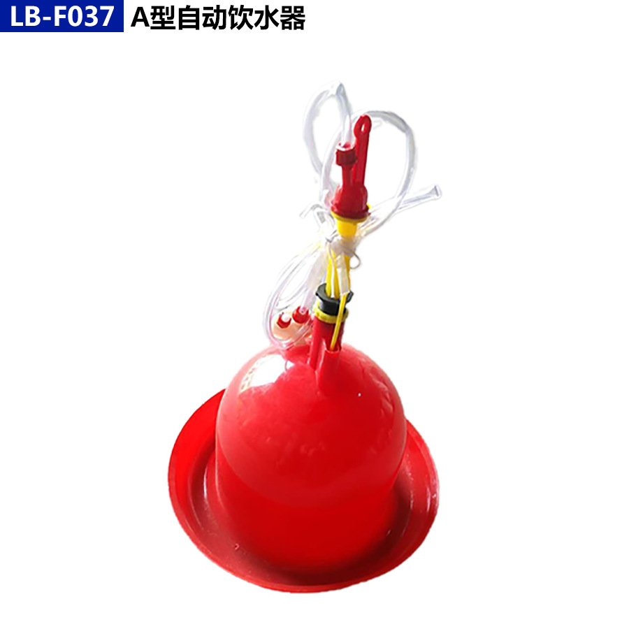 Pollo, pato y ganso dispensador automático de agua suministros de pollo Prasong pato alimentación de agua espesado grande, mediano y pequeño dispensador de agua