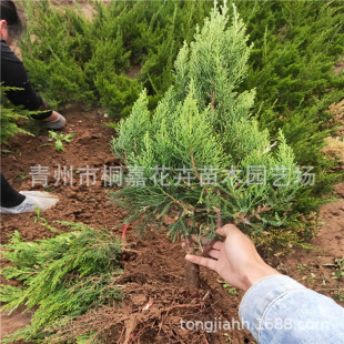 ���� С���� ���؃r�� С���؃r�� �I�B�� ������ �a�����N