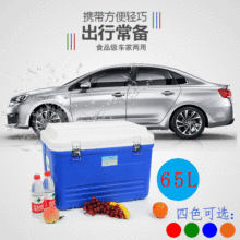 PU܇�d���������65LʳƷ�������������䱣����