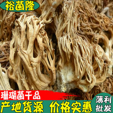 ��ԣ��¡�� ɺ���� ˢ�Ѿ� �߰Ѿ� �Ƶ�ɺ���� ���Ұ���� �خa