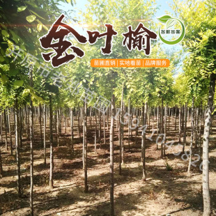 ���~�ܘ������A���~��2026�����Թ����|���@���l��G�����~�е���