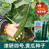 Jinyan No. 4 cucumber seed farmland vegetable garden base tender and crispy short, green meat green meat cucumber vegetable seeds