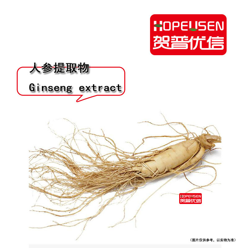 人参提取物 人参粉 人参皂甙 食品级 西洋参 花旗参