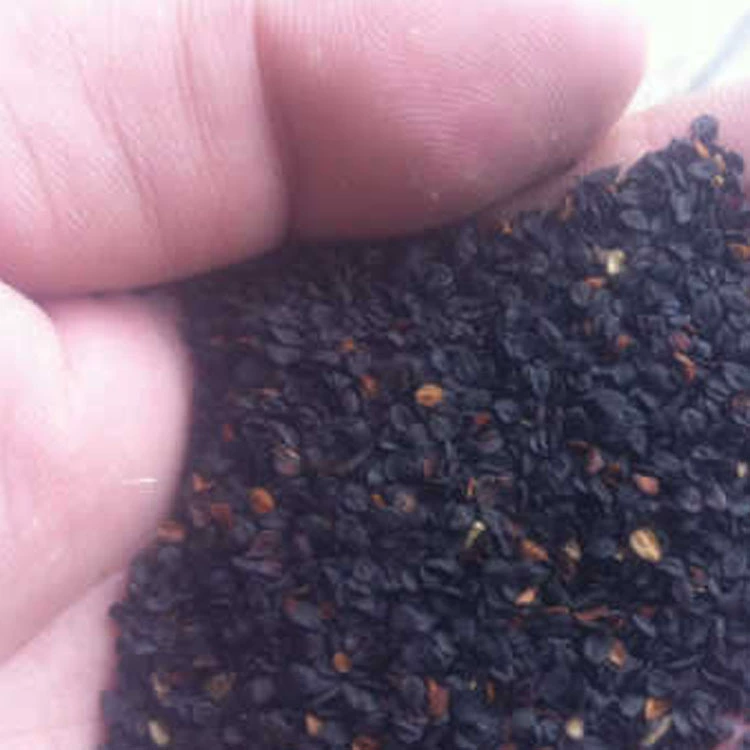 [16 лет доброй воли старый магазин] импортированные красочные семена бамбука трава цветок семена большое количество скидка