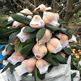 非处方滋补膏;其他果干蜜饯;其他药食同源