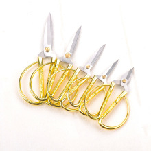 �Y��c��ƷŮ������_�I��Y����ϲ�c���P����P�����3̖1��12��