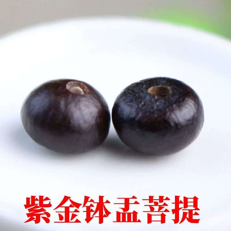 Оптовая Продажа с фабрики Zijin милостыня чаша Бодхи семена свободные бусины DIY текст играть браслет ювелирные аксессуары материал четки бусины