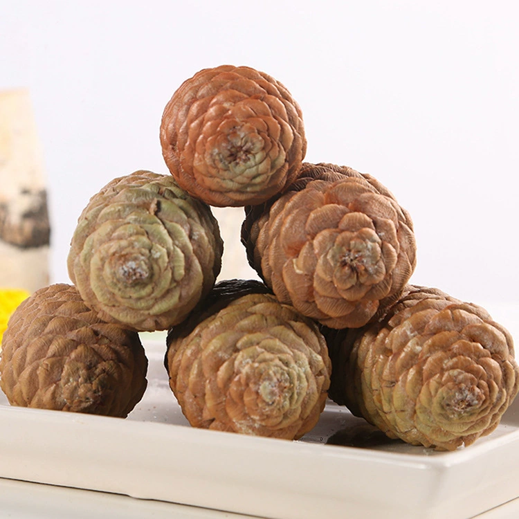 4–12 см рыбная чешуя, шишка сосны, рождественская елка, срез, подложка для засушивания цветов, реквизит для съемок