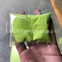 小包装定制儿童染色彩砂