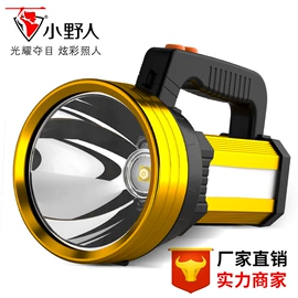 手电筒;头灯头戴电筒;提灯
