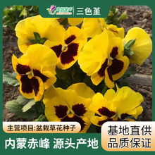 ɫ؈ĘNl Ĵ K  ؑc  Ϻ  ُI