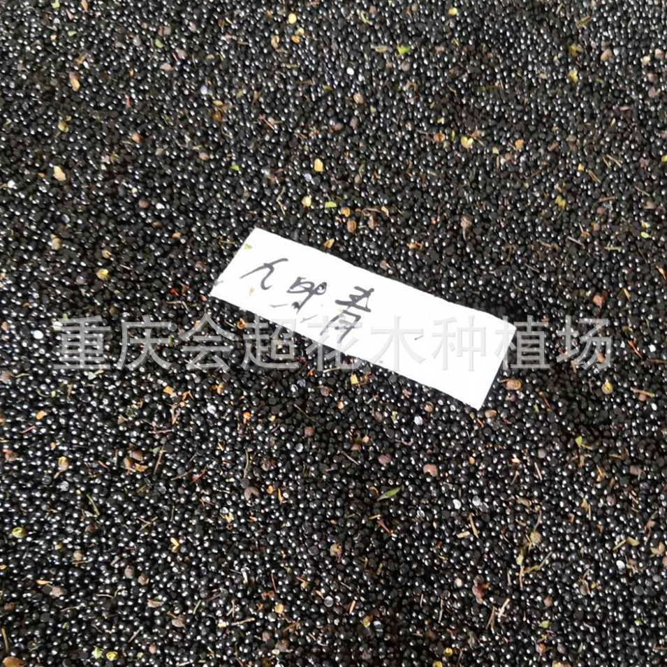 Семена перца девятилистовые семена зеленого перца оптом можно заказать сорта перца чистые крупные выгодно