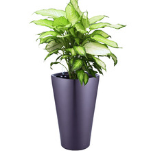 �Ƶ����e������[�Nֲ�� �ι����È@ˇ���ϻ�������