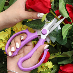 花藝剪刀鮮花插花剪枝嫁接養花藍綠紫粉尖頭花店不鏽鋼園藝 工具