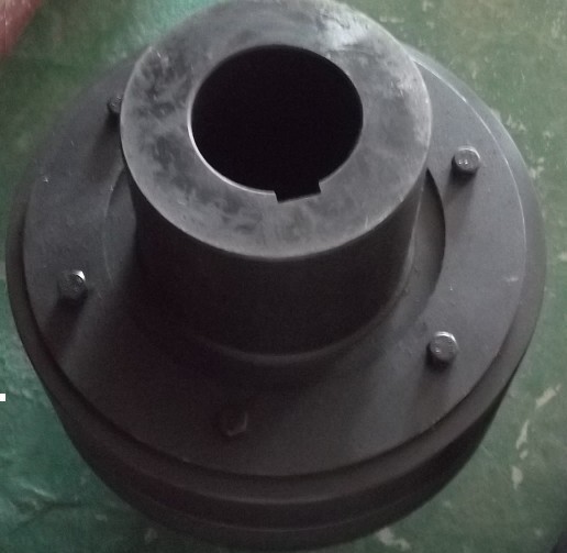 抱紧式HL-D30梅花型联轴器