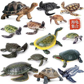 儿童玩具实心静态仿真海洋手办摆件海龟陆龟象龟乌龟两栖动物模型
