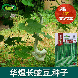 �߶��߹ϷN�� �r��ˈ@��Ƥ��ɫ���۾G����۴������L�����߲���