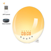 WiFi���ܻ��ѵ�LED���� Alexa�������ƶ๦���߲ʱ�ɫ��ͷСҹ��