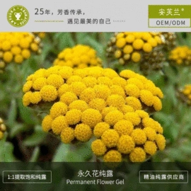 身体护理加工;化妆水爽肤水;单方精油